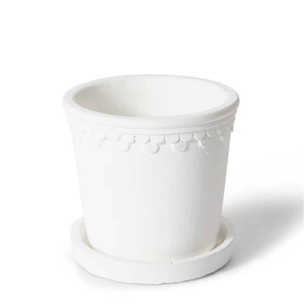 Milky Sophia Pot with Saucer - Available in 4 Sizes