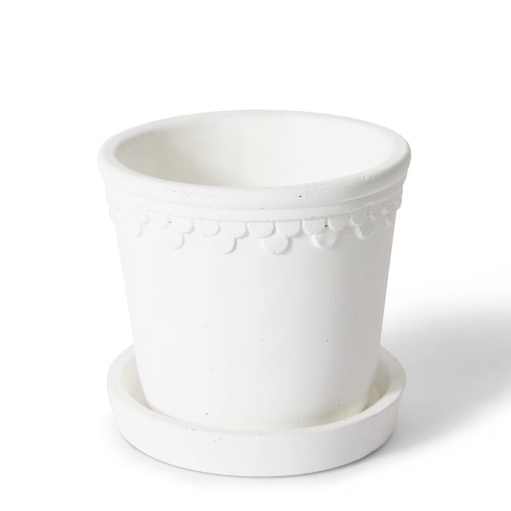 Milky Sophia Pot with Saucer - Available in 4 Sizes