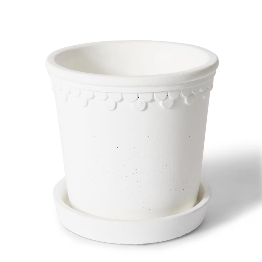 Milky Sophia Pot with Saucer - Available in 4 Sizes