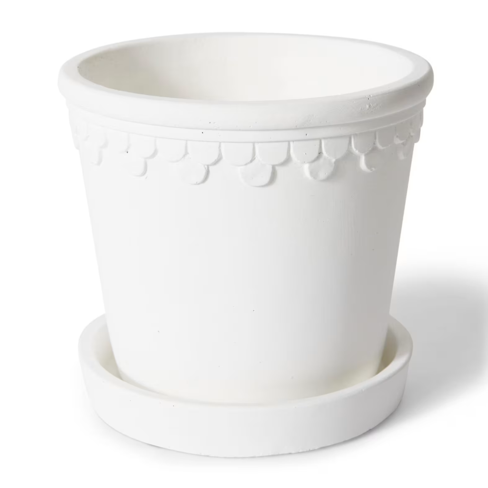 Milky Sophia Pot with Saucer - Available in 4 Sizes