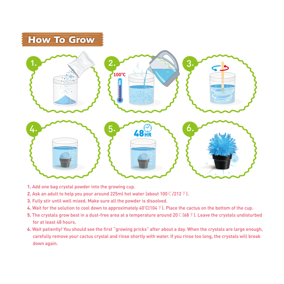 Mini Crystal Cactus Lab - A Magical Growing Experiment