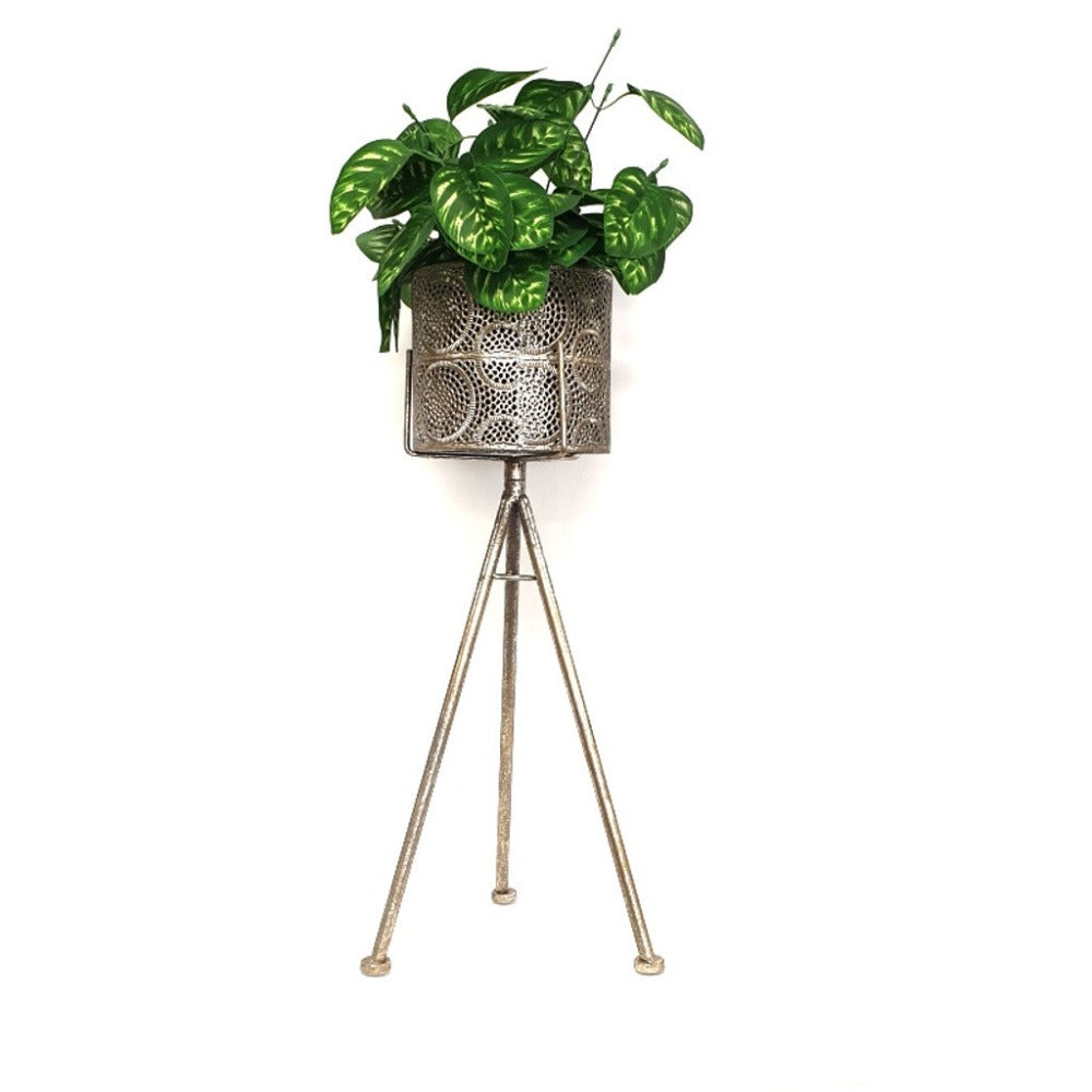 Minimalist Medium Plant Metal Stand Display