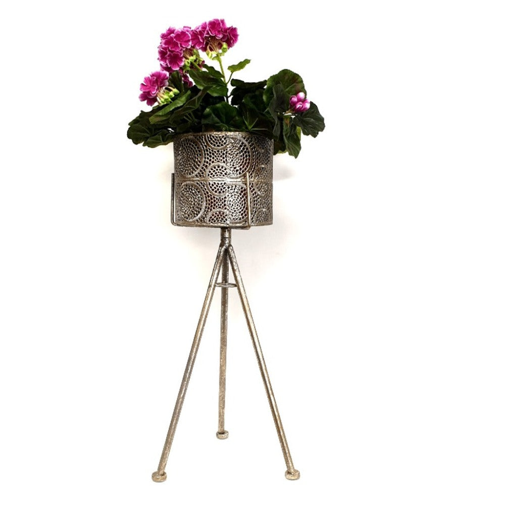 Minimalist Medium Plant Metal Stand Display