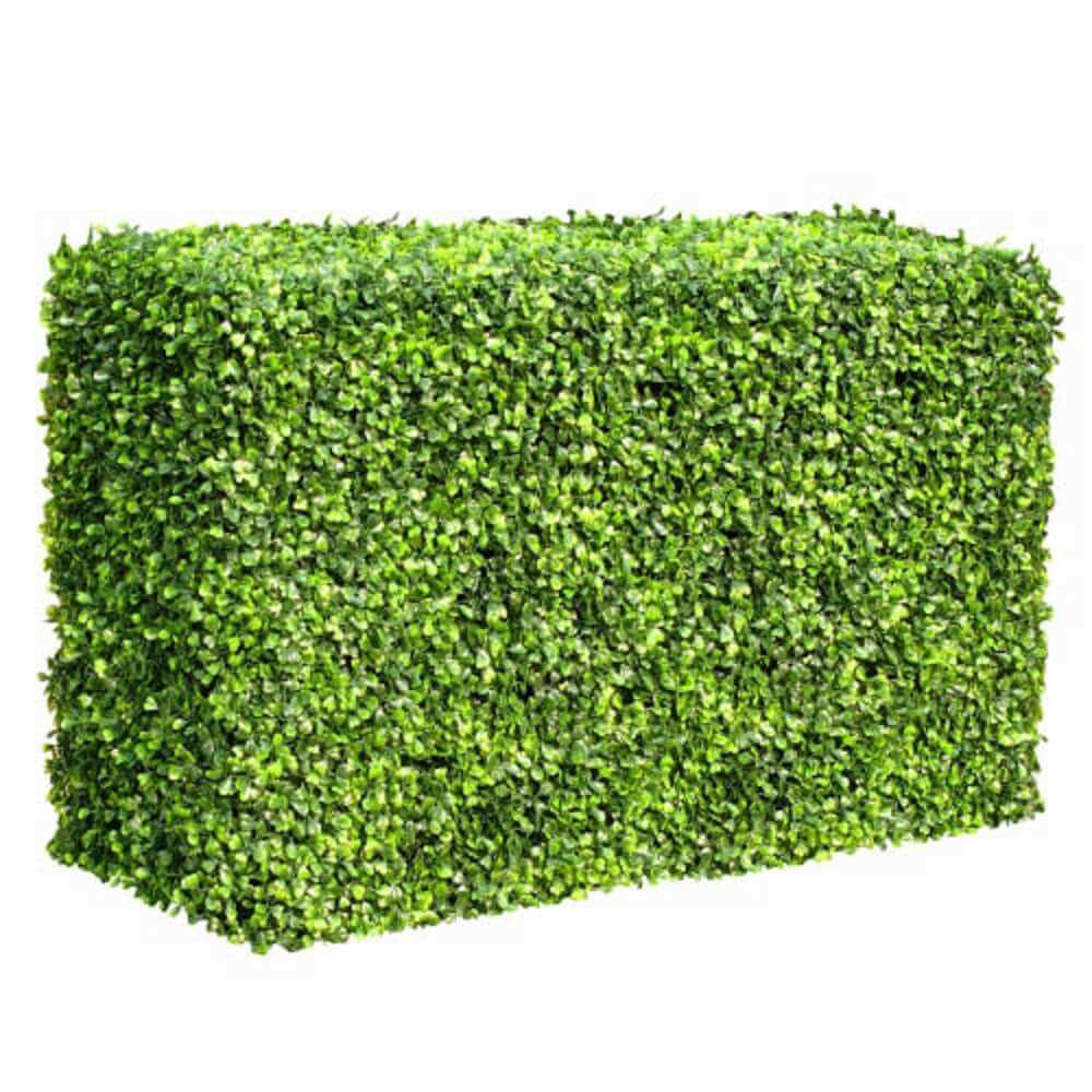 Mixed UV Resistant Boxwood Hedge 100 x 50cms