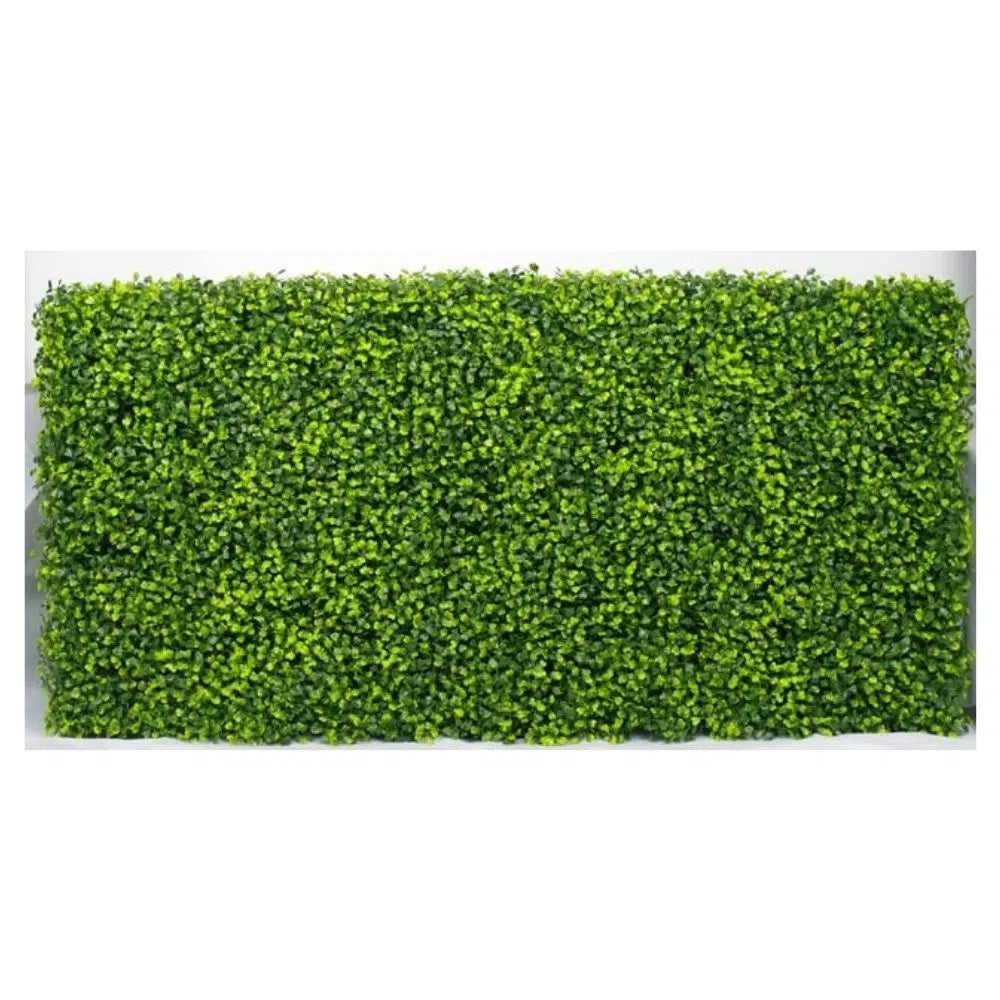 Mixed UV Resistant Boxwood Hedge 100 x 50cms