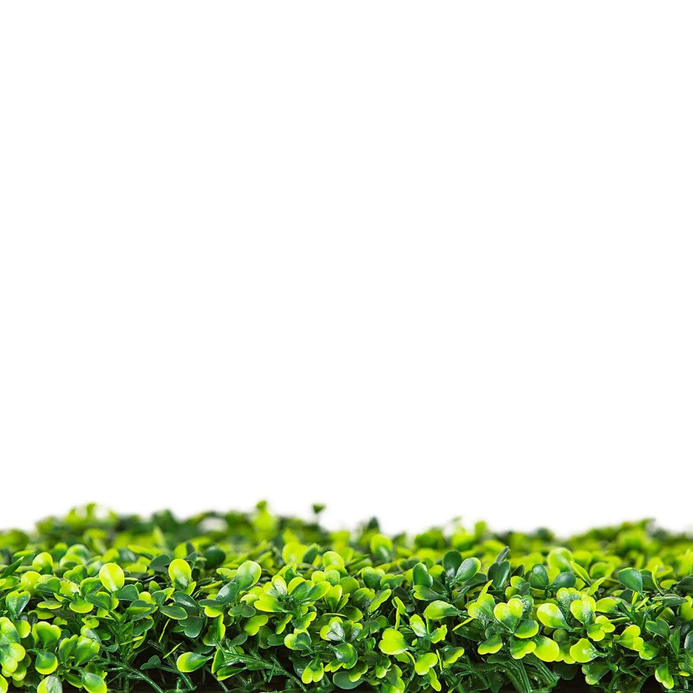 Mixed UV Resistant Boxwood Hedge 75 x 75cms