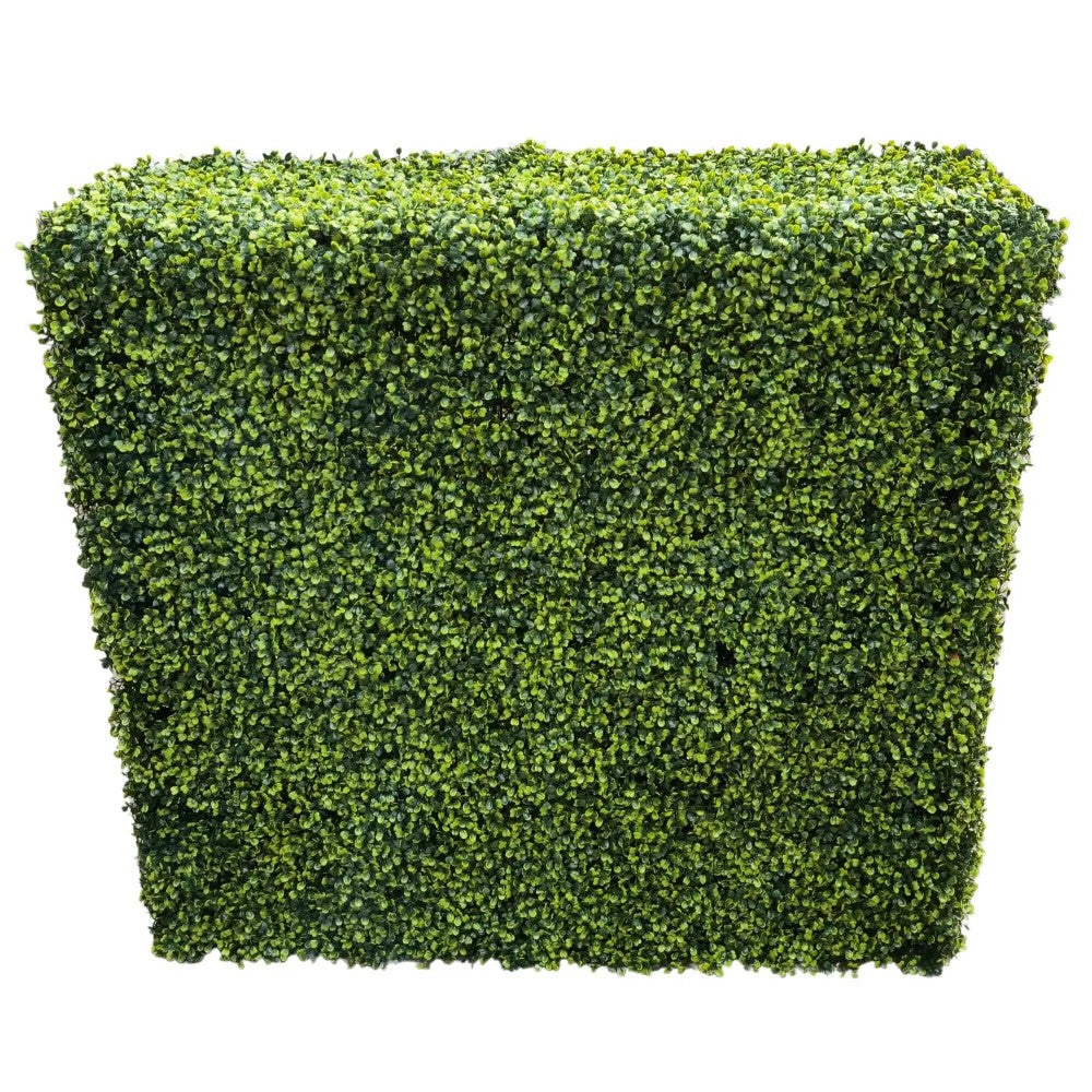 Mixed UV Resistant Boxwood Hedge 75 x 75cms