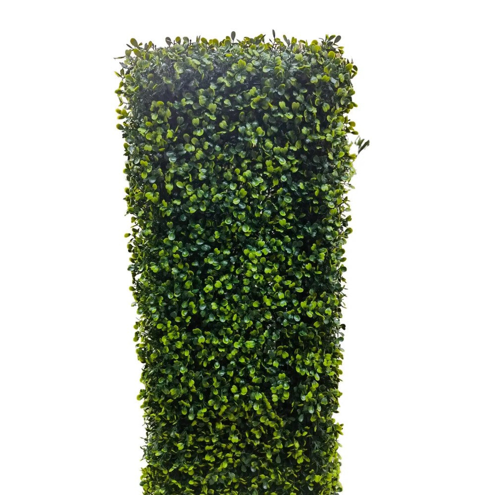 Mixed UV Resistant Boxwood Hedge 75 x 75cms