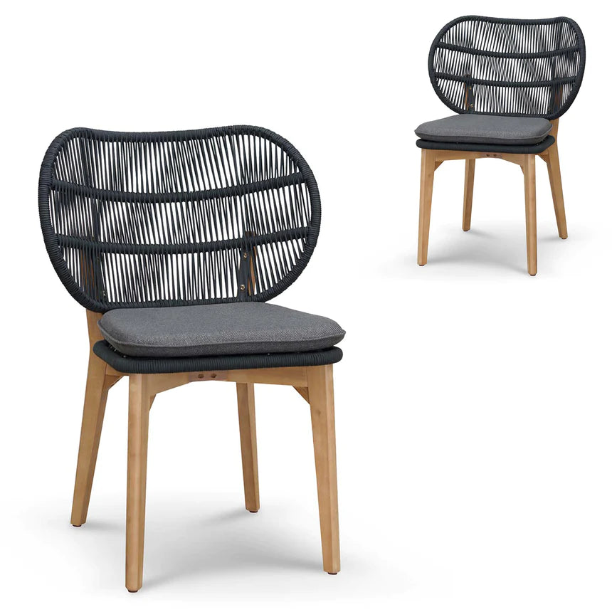 Modern Cushion Dining Chair - Set of 2