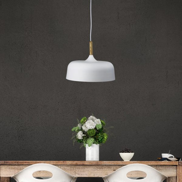 Modern Retro Industrial Style Pendant Light 22cms (Available in 2 Colors)