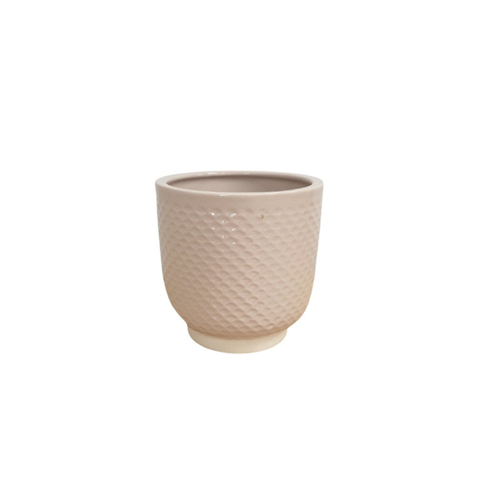 Modern Shell Cream Small Planter - Set of 6