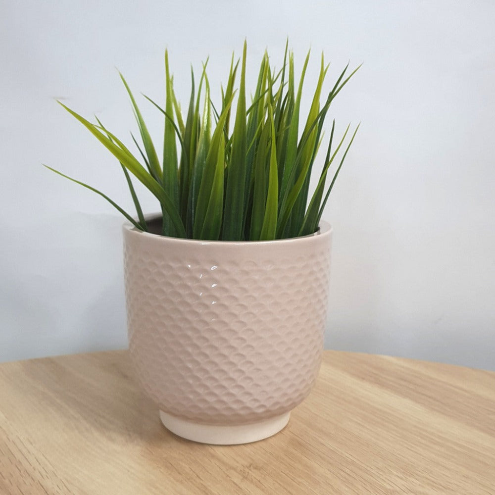 Modern Shell Cream Small Planter - Set of 6