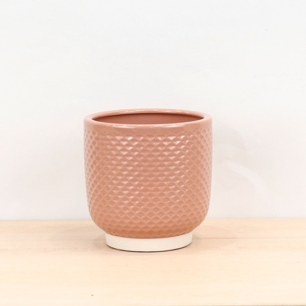 Modern Shell Blush Small Planter - Set of 6