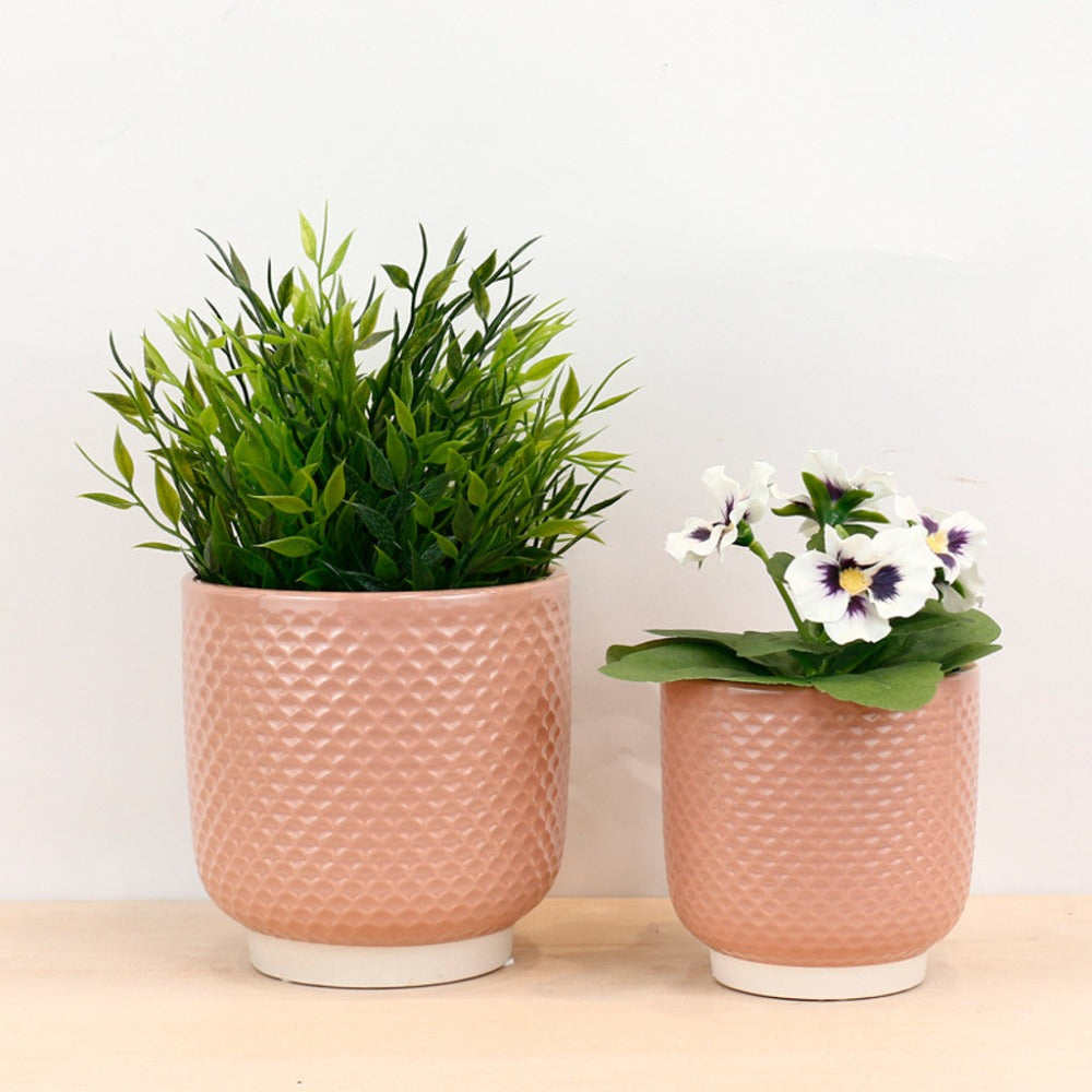 Modern Shell Blush Small Planter - Set of 6