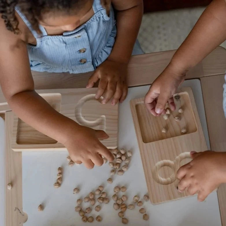 Montessori Jumbo Counting Trays