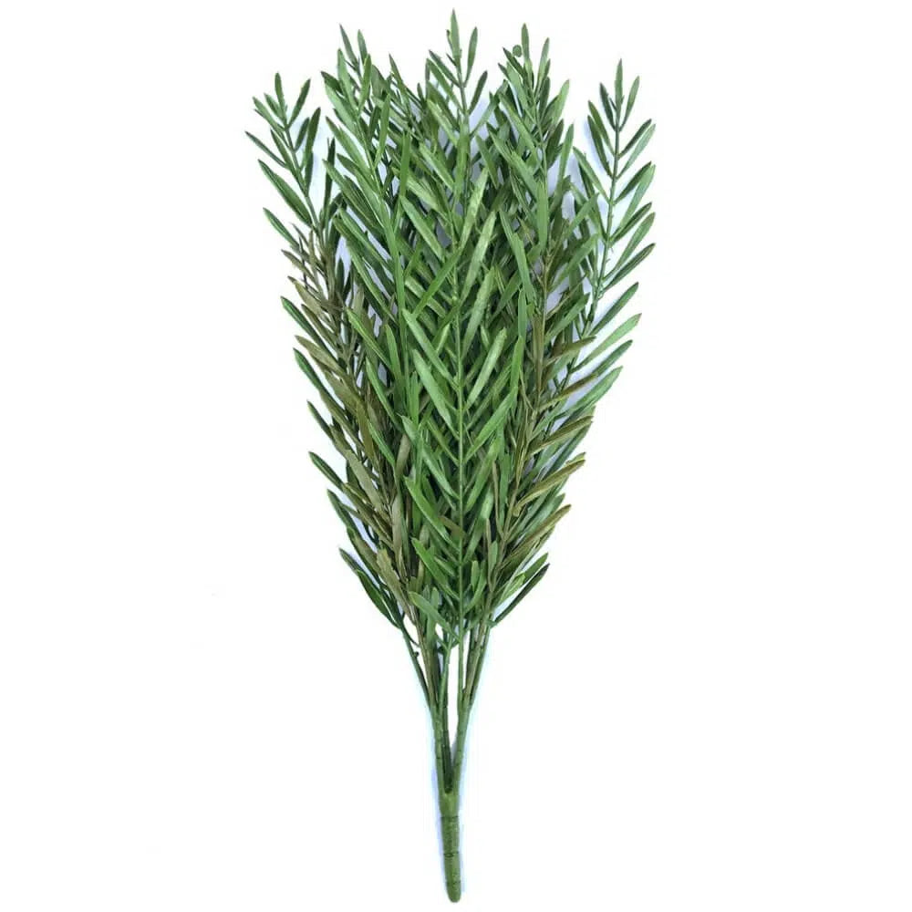 Native UV Resistant Tea Tree Stem 45cms