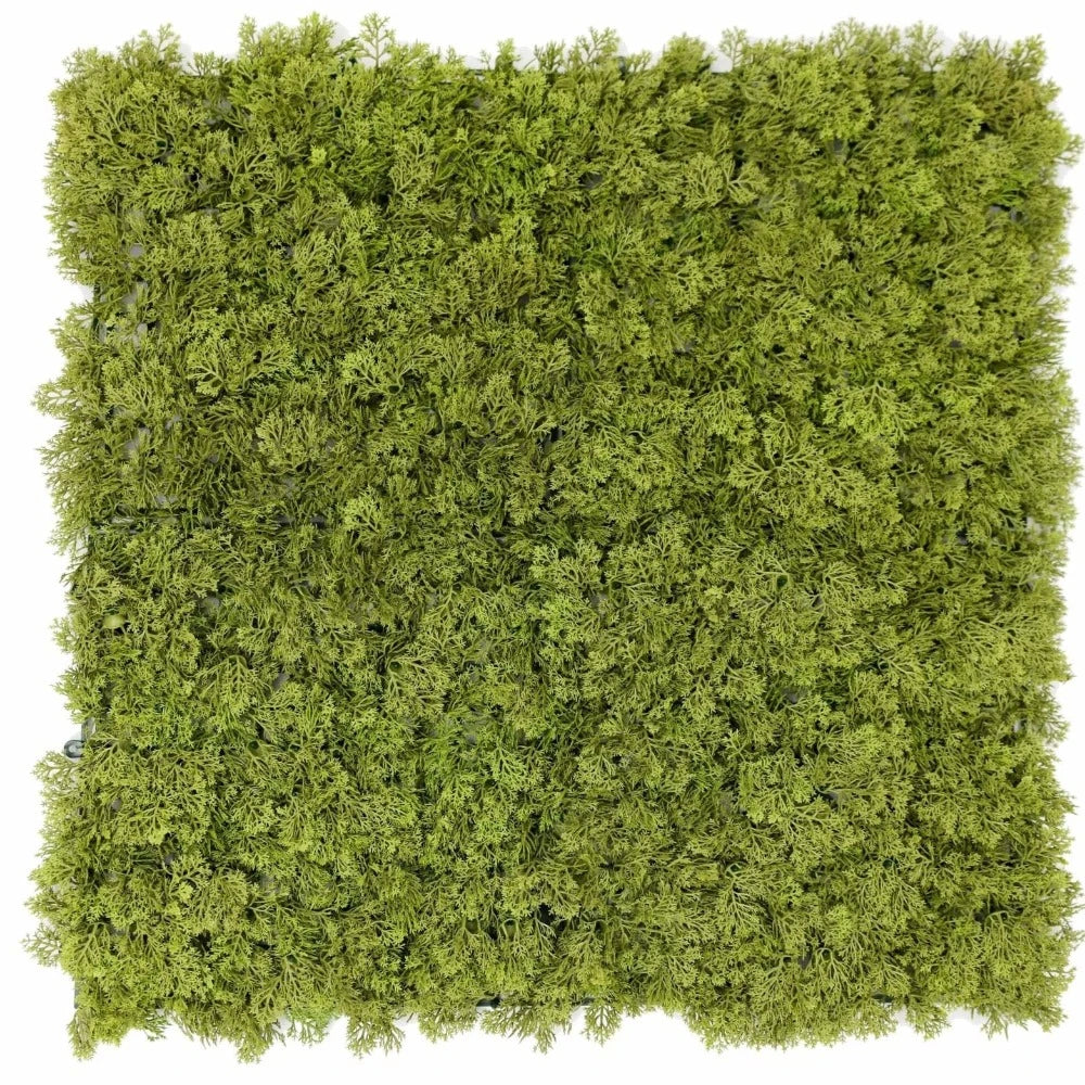 Natural Moss Panel UV Resistant 1m x 1m