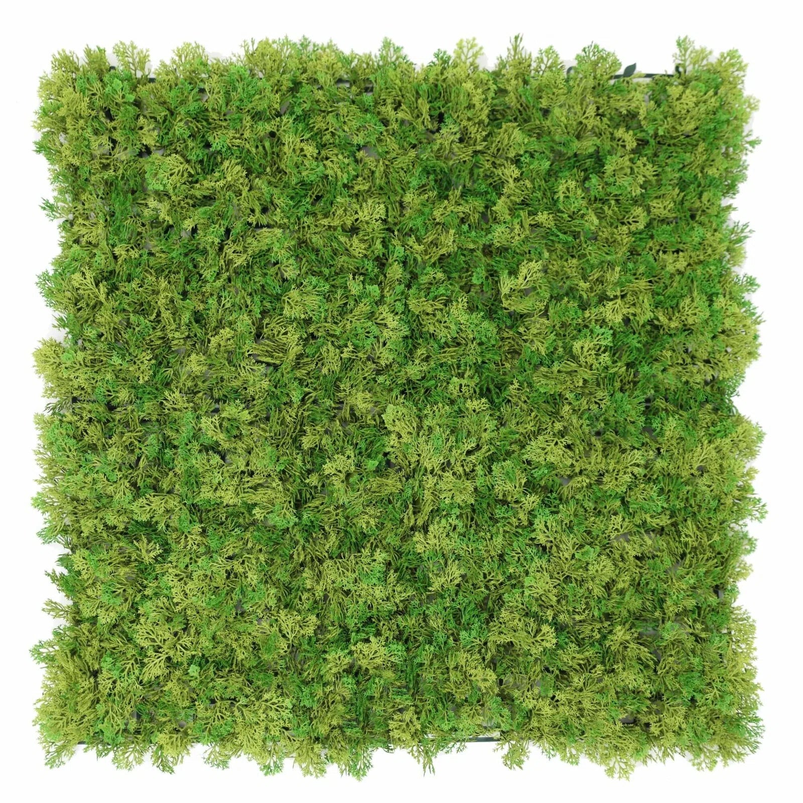 Natural Two-Tone Moss Panel UV Resistant 1m X 1m