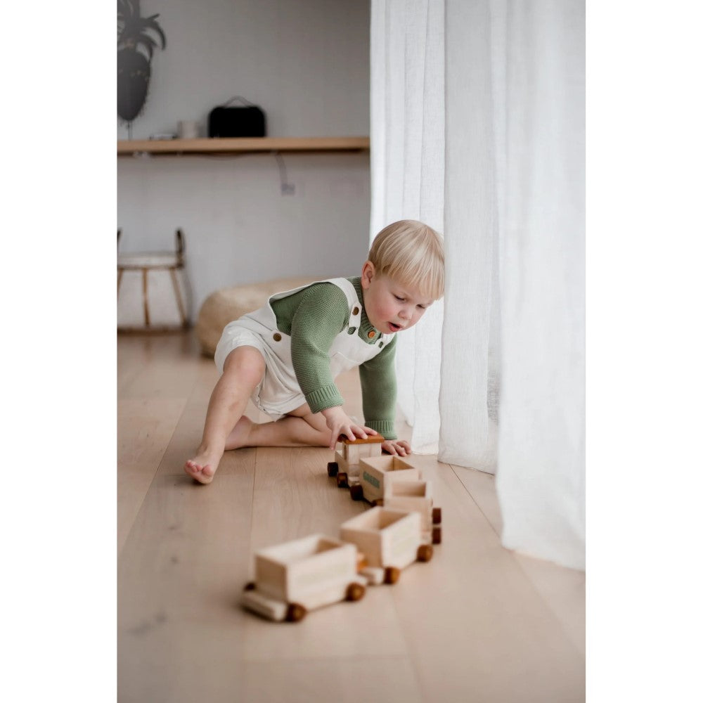 Playful Wooden 6 Carriages Sorting Train