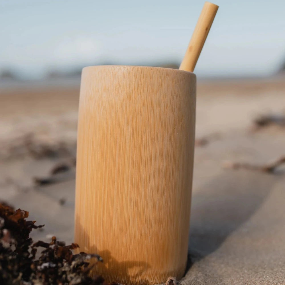 Playtime Child Bamboo Cup with Straw