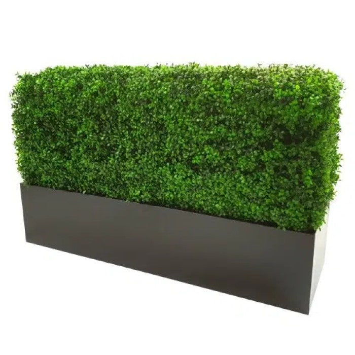 Portable Buxus Boxwood Hedge 100 X 50cms