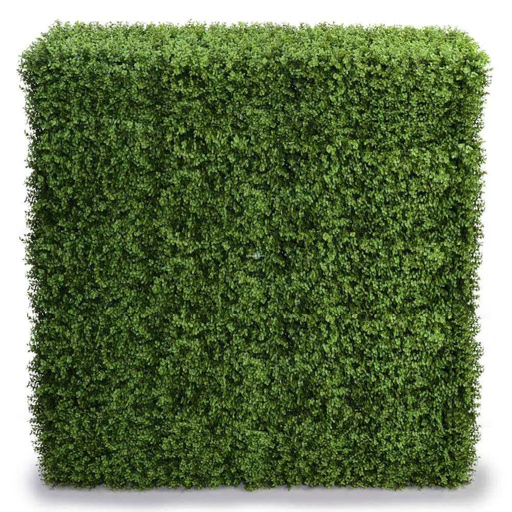 Portable UV Resistant Buxus Hedge 150 x 150cms