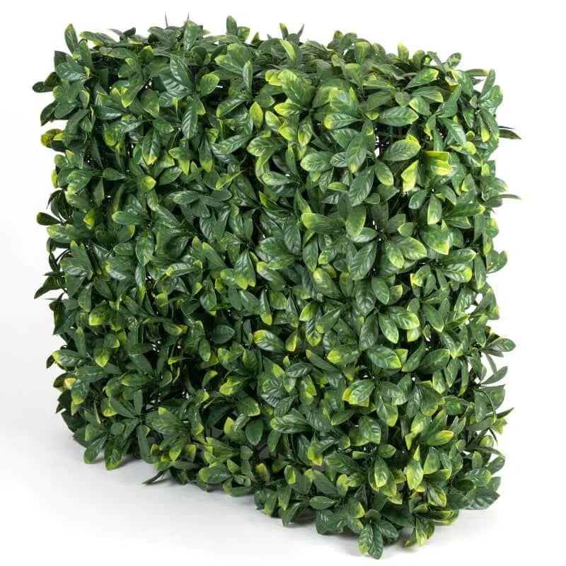 Portable UV Resistant Laurel Hedge 75 x 75cms