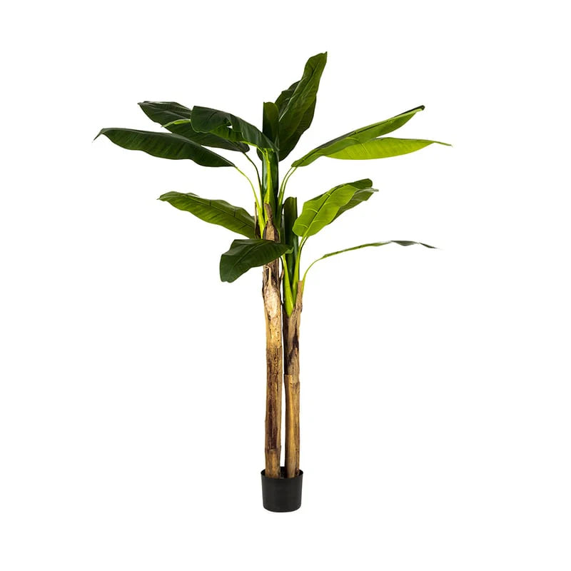 Potted Artificial Faux XL Banana Tree - 200cms