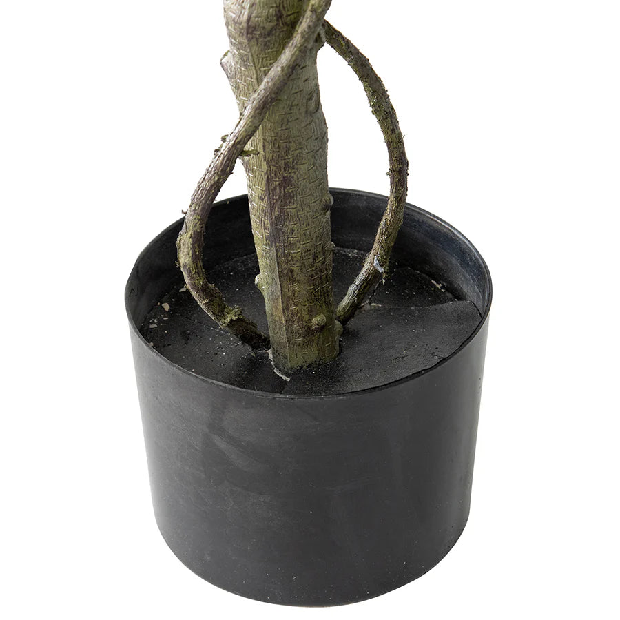 Potted Artificial Greenery Banyan Tree - 120cms