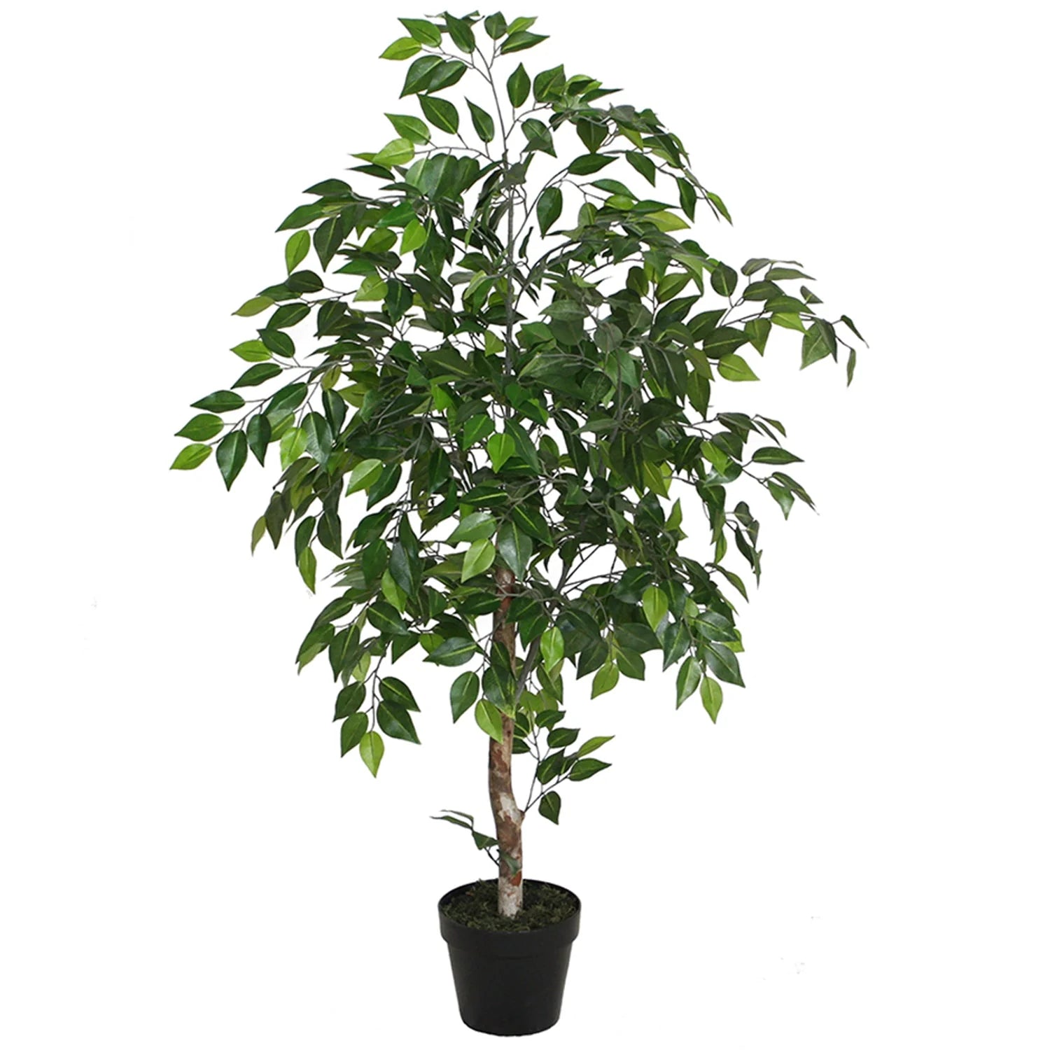 Potted Artificial Wood-Trunk Ficus - 120cms