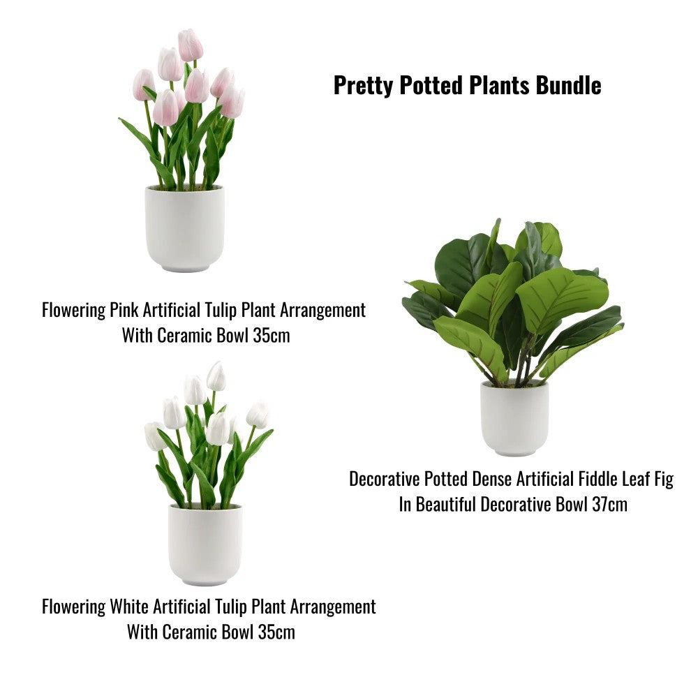 Pretty Potted Plants Bundle - Set of 3