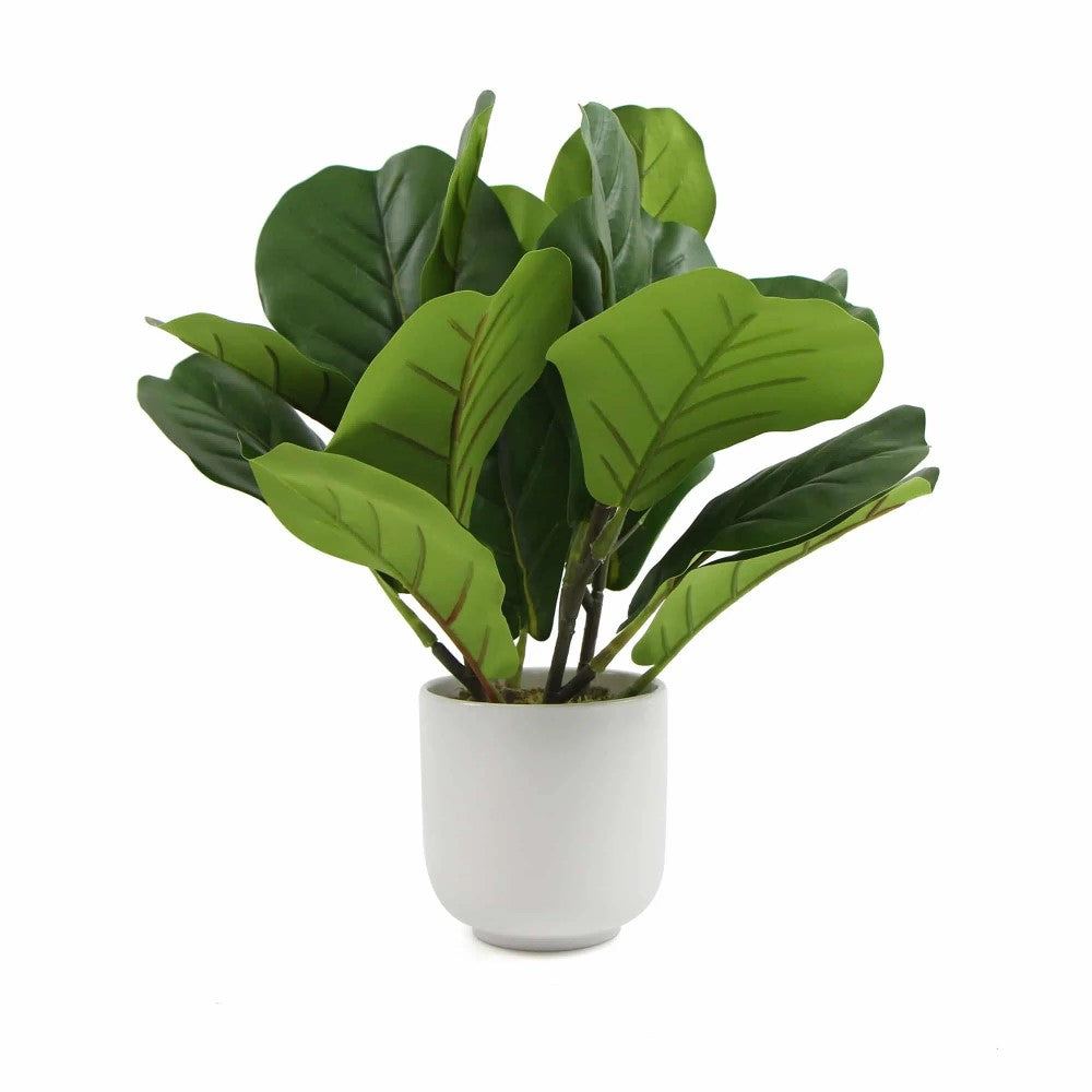 Pretty Potted Plants Bundle - Set of 3