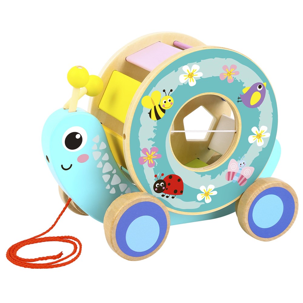 Pull Along Snail With Rolling Wheel & Blocks