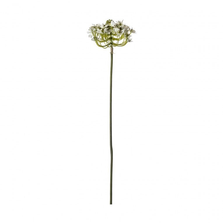 Artificial Queen Anne's Lace Closed Stem