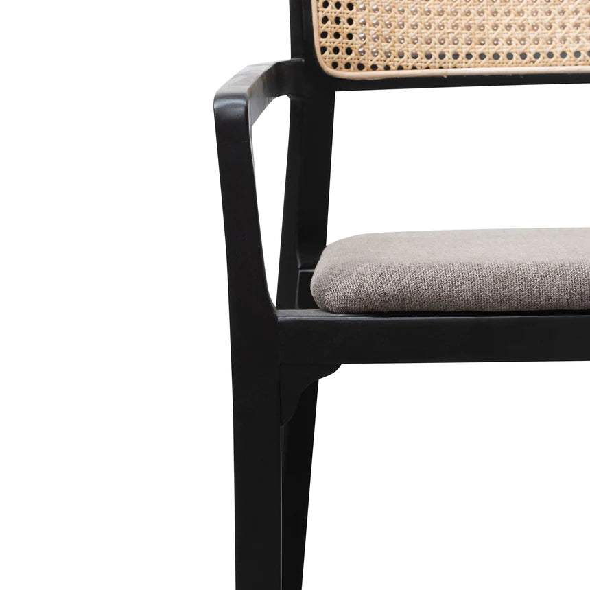 Rattan Fabric Symphony Lounge Armchair