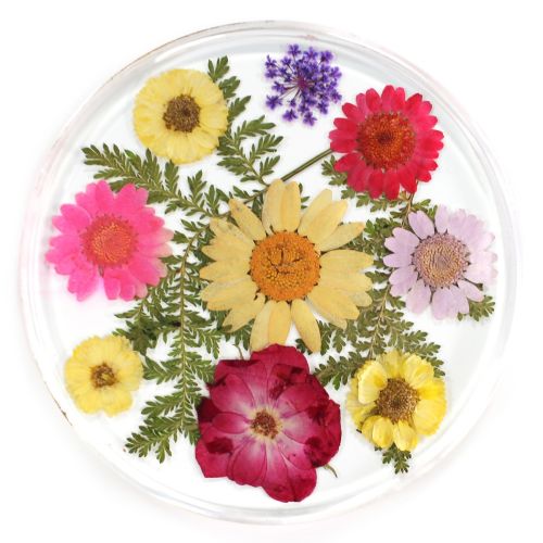 Resin Coaster Real Flower Bright Bunch 10cms