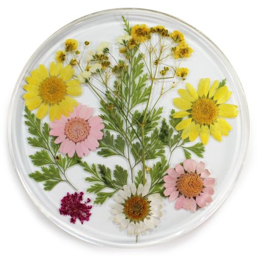 Resin Coaster Real Flower Daisy Meadow 10cms