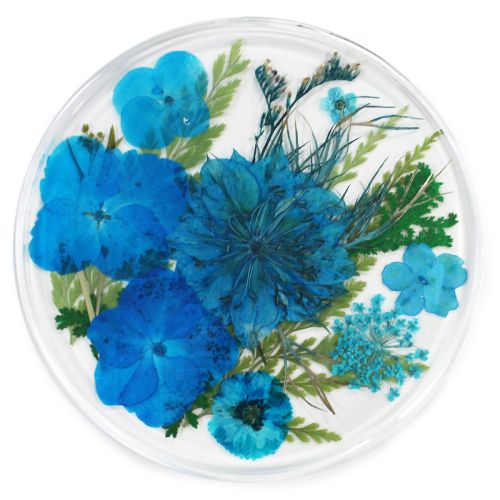 Resin Coaster Real Flower Meadow 10cms - Blue