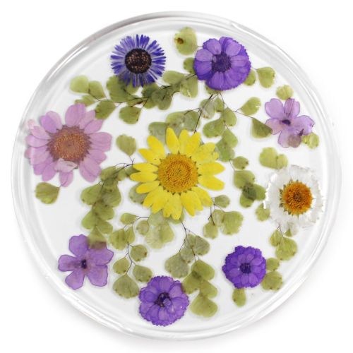 Resin Coaster Real Flower Prairie 10cms