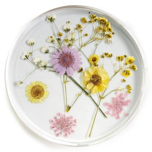 Resin Coaster Real Flower Wildflowers 10cms