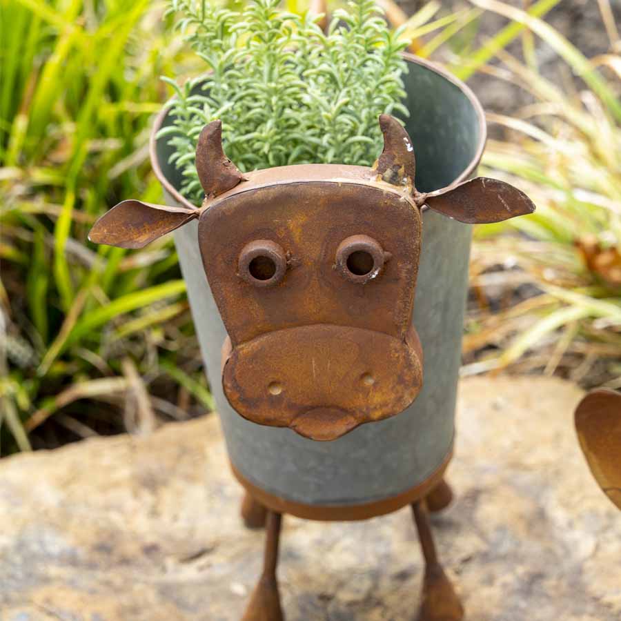 Rusty Cow Planter with Galv Pot - 37cms