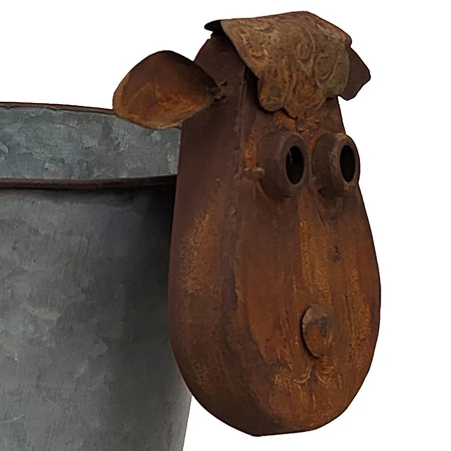 Rusty Sheep Planter with Galv Pot - 34cms