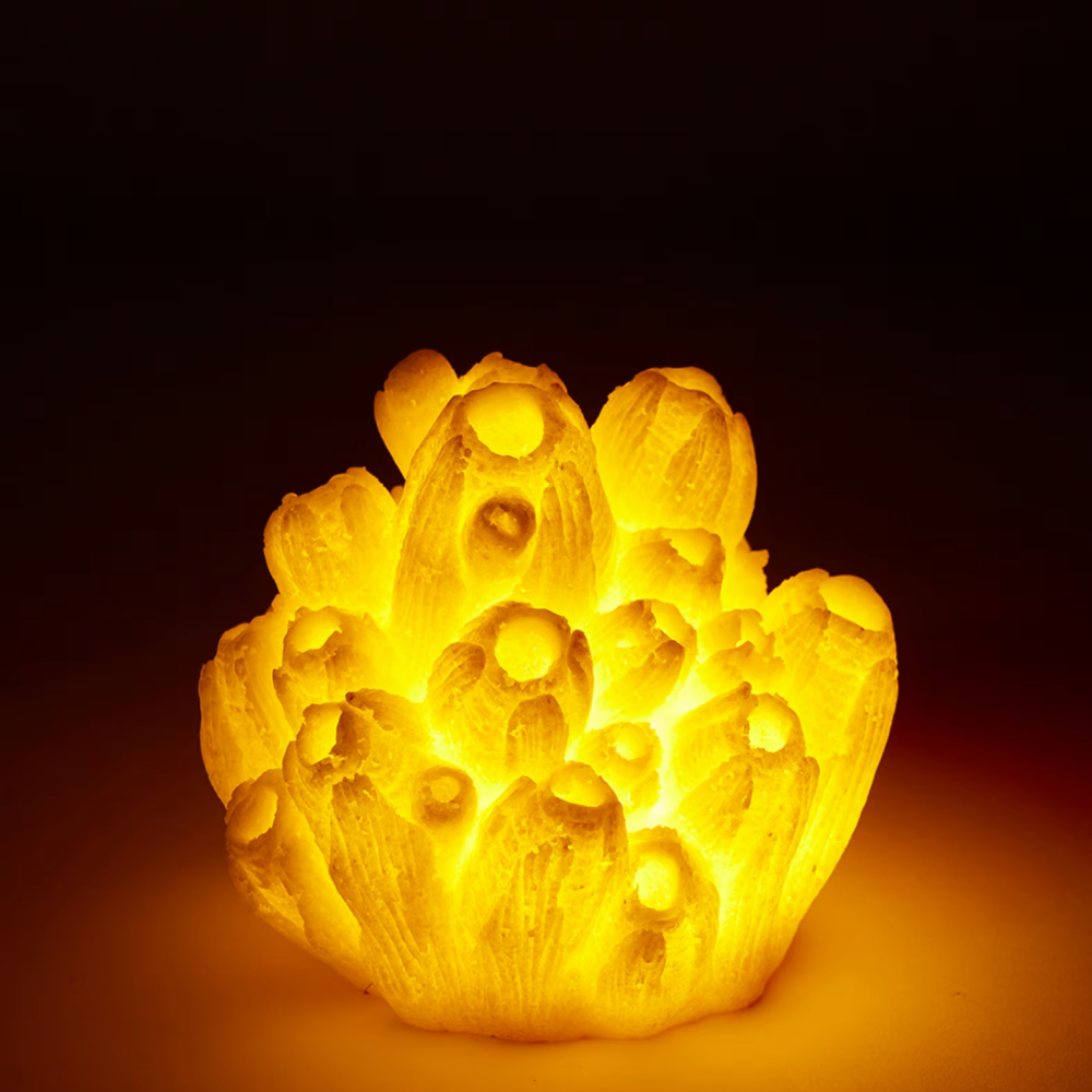 Sea Lotus Coral White Night Light - 8cms