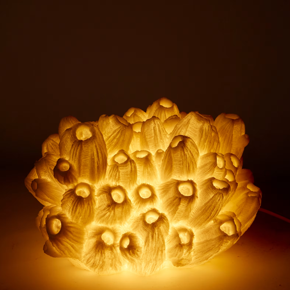 Sea Lotus White Coral Lamp