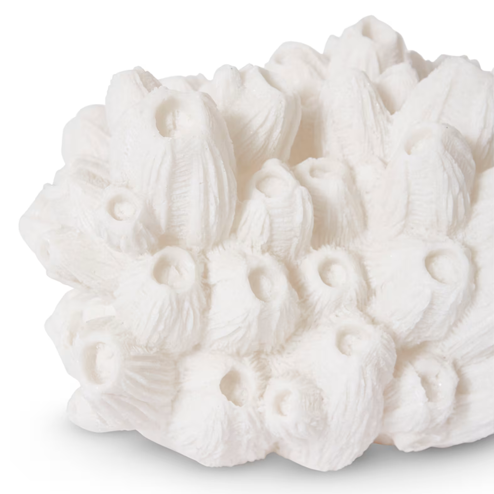 Sea Lotus White Coral Lamp