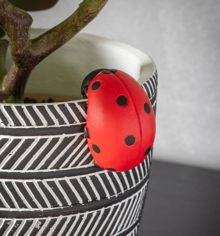 Set of 2 Charming Crawler Red Bug Pot Holders