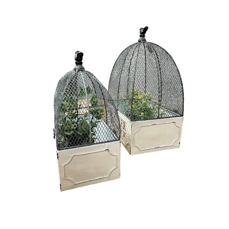 Set of 2 Nested ‘Flower Market’ Cloche Cages