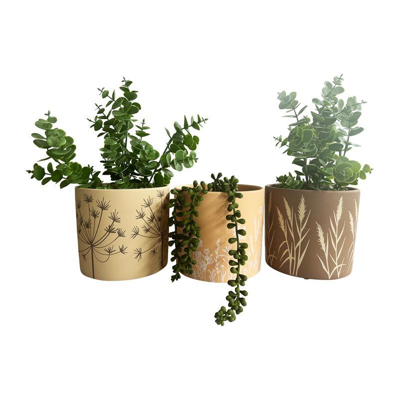 Set of 3 Asst Flower grass Design Planters with Hole