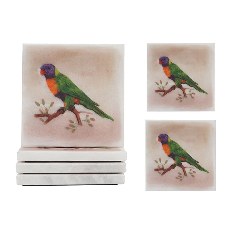 Set of 4 Square Australian Birds Marble Coasters - Lorikeet