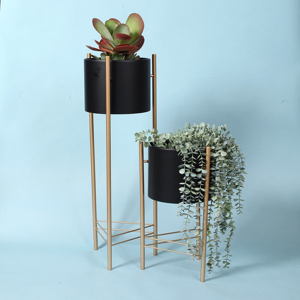 Sleek Black Plant Stands - Set of 2